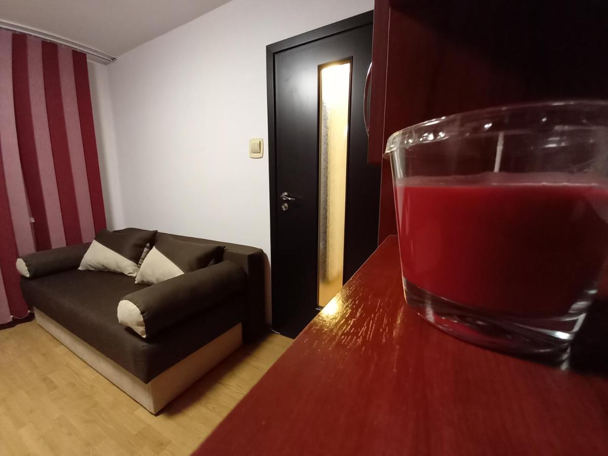 Alma Apartament Πιάτρα Νέαμτς Εξωτερικό φωτογραφία