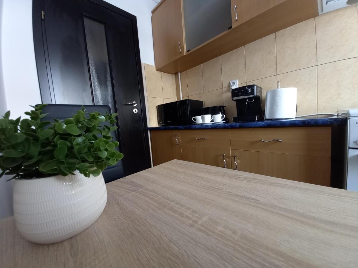 Alma Apartament Πιάτρα Νέαμτς Εξωτερικό φωτογραφία