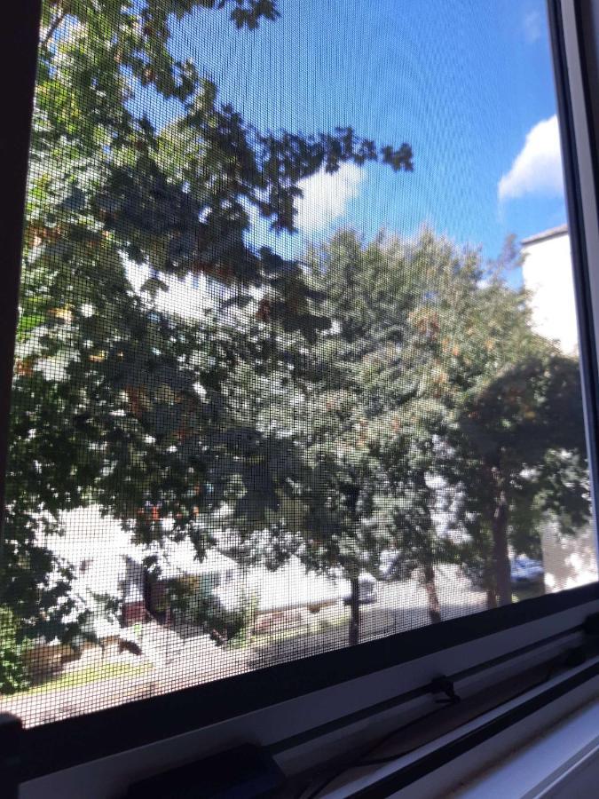Alma Apartament Πιάτρα Νέαμτς Εξωτερικό φωτογραφία